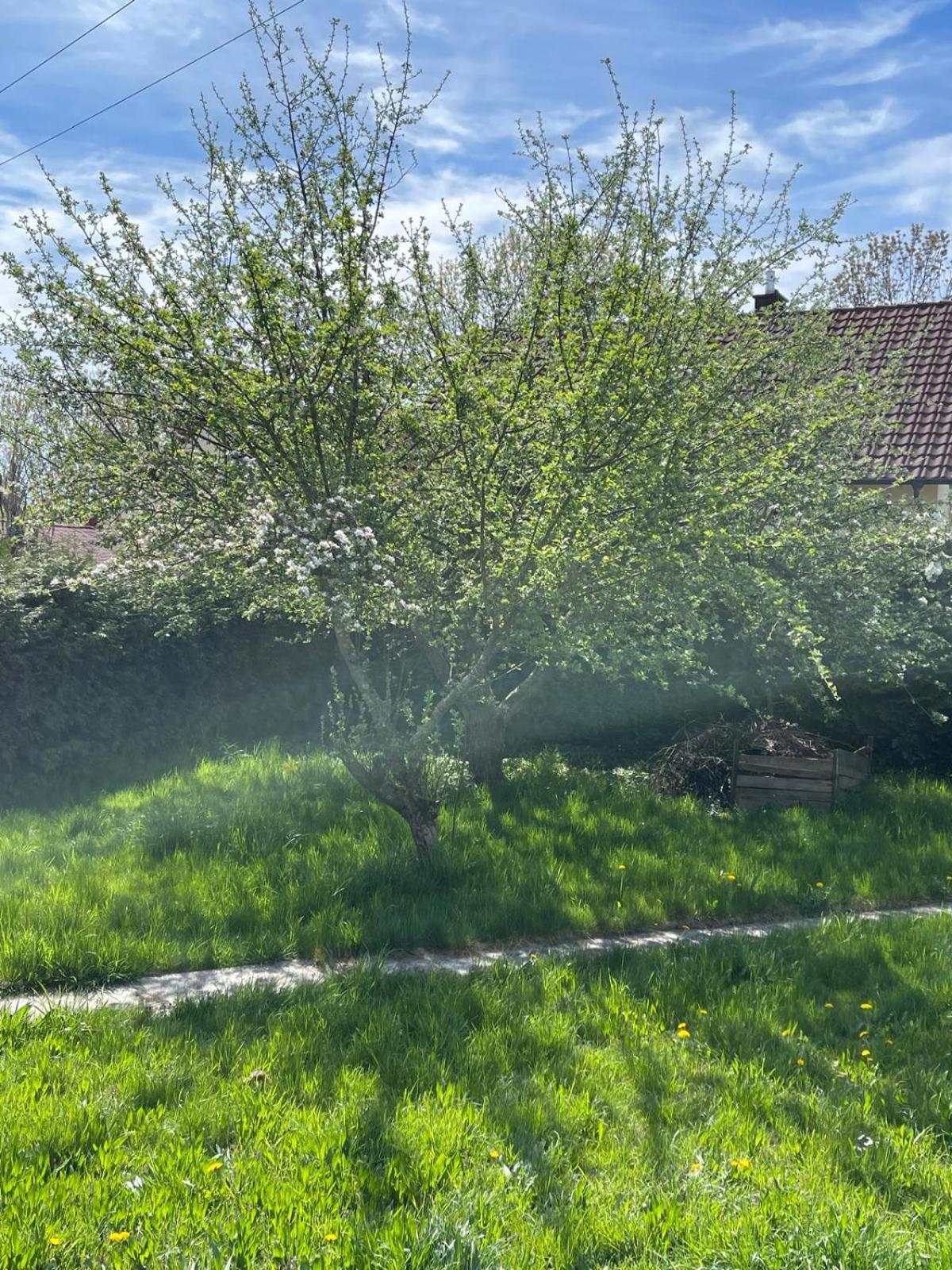 In Ruhiger Siedlung Mit Stellplatz *